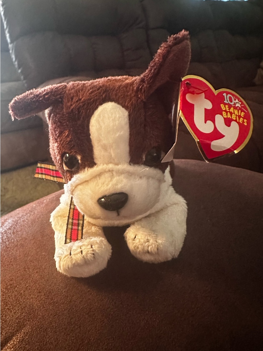 Ty Beanie Baby - SPORT the Dog (Boston Terrier) 2002 - Authentic Holographic Tag